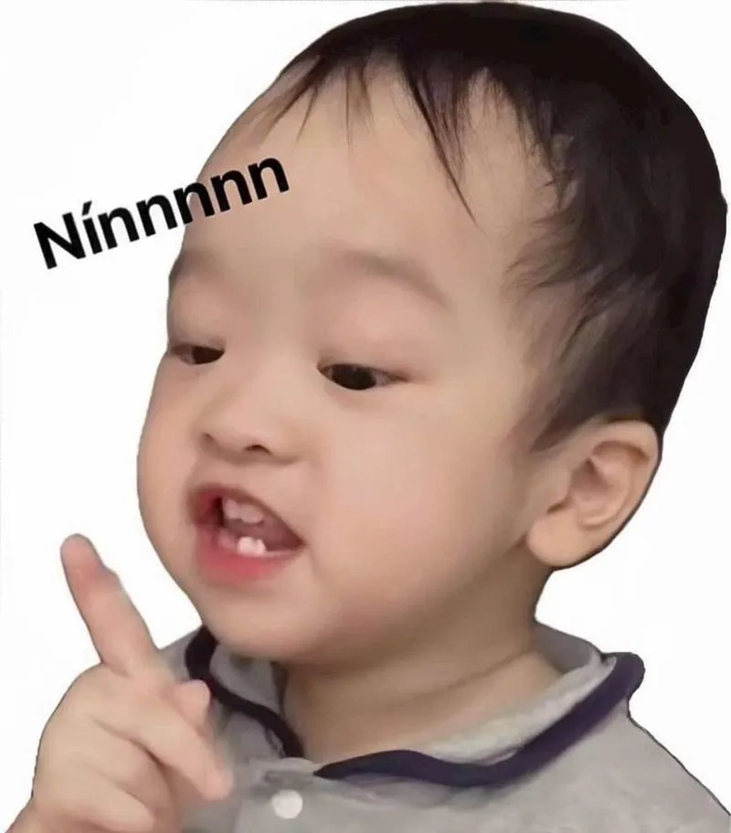 Meme đáng thương khiến bạn cảm thấy đồng cảm và dễ thương