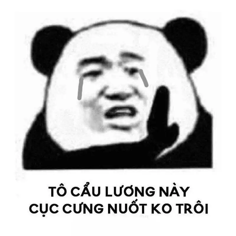 Meme bựa hài hước, phù hợp để làm mới mood mỗi ngày.