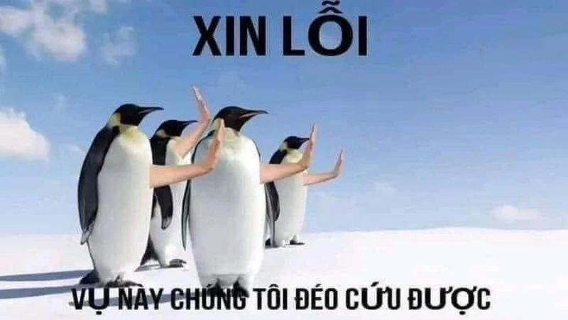 Meme còn cứu được mang lại những giây phút hài hước