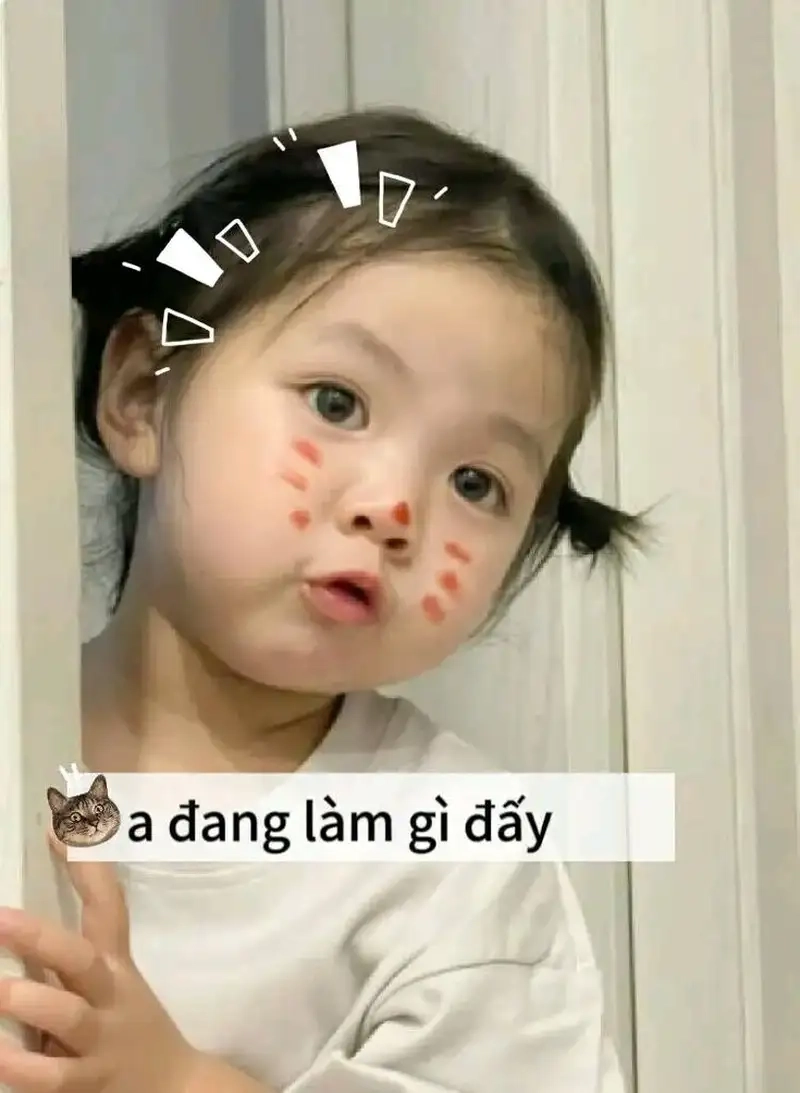 Meme mèo i love you mang lại sự dễ thương cho người xem