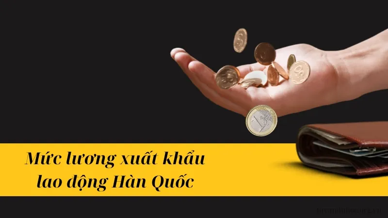 Mức lương xuất khẩu lao động Hàn Quốc có đáng để đầu tư?