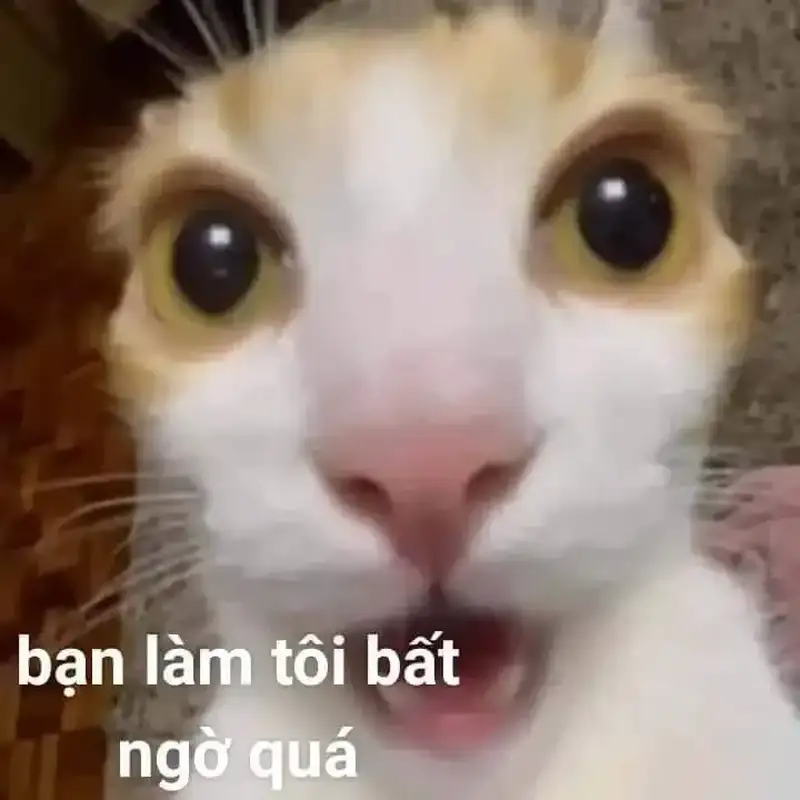 Meme da đen ngạc nhiên là lựa chọn hàng đầu cho mọi tình huống hài hước