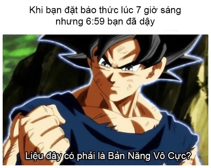 Meme xin lỗi hài mang lại sự hài hước trong những tình huống khó xử