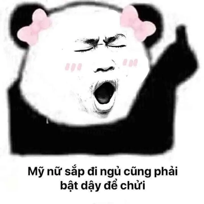 Cute meme hài mang lại sự dễ thương cho người xem