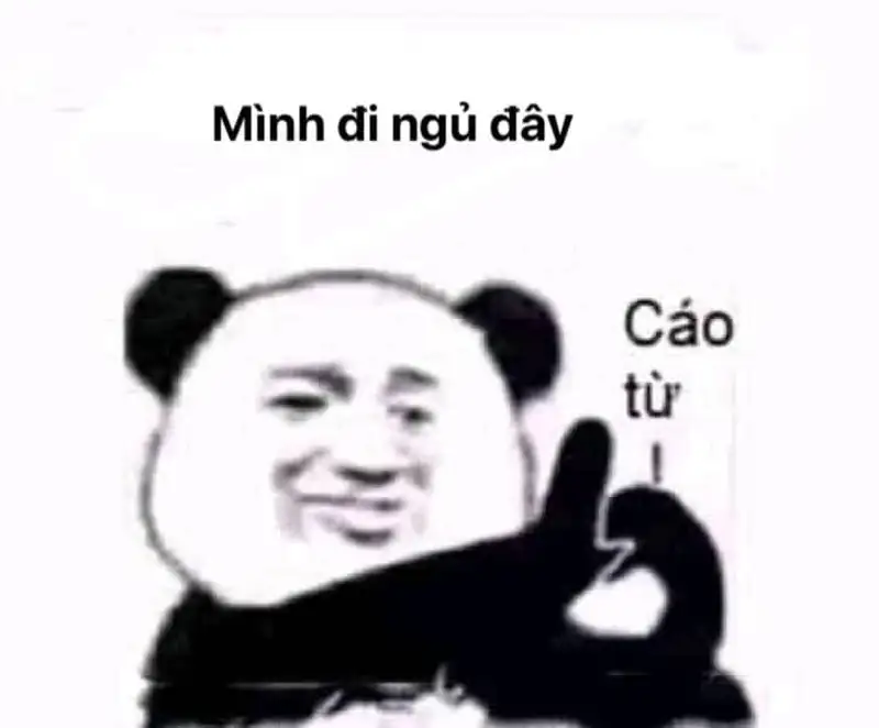 Meme chúc ngủ ngon siêu hài hước cho những ai cần thư giãn trước giờ ngủ.