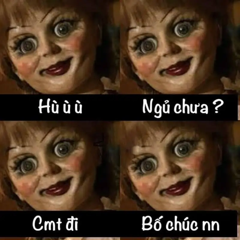 Meme mèo ngủ ngon mang lại sự dễ thương cho người xem