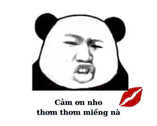 Meme cảm ơn rất nhiều là cách thể hiện lòng biết ơn sâu sắc