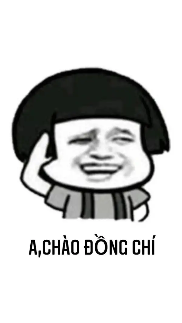 Mèo chào meme là biểu tượng của sự dễ thương