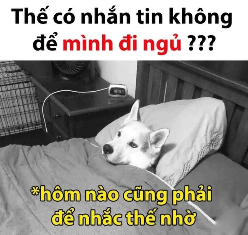 Meme ngủ đi là lời nhắc nhở hài hước cho những ai còn thức khuya