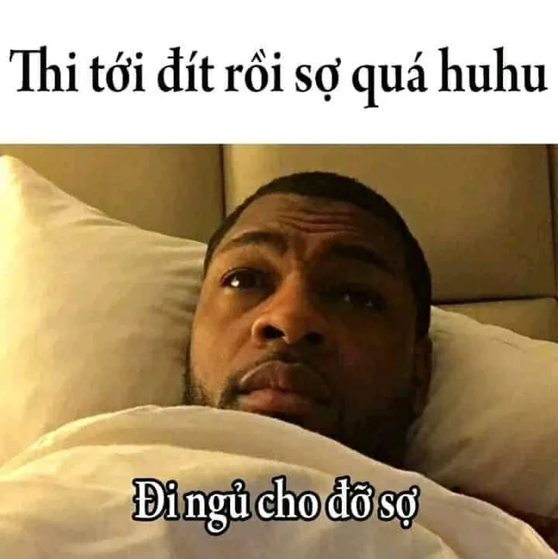 Mèo ngủ meme là hình ảnh đáng yêu cho những ai yêu thích mèo