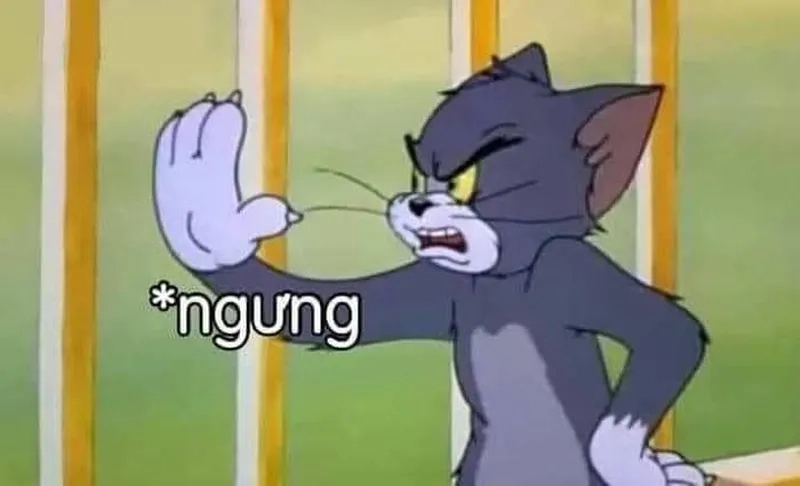 Meme ảnh chế đường tăng chửi khiến bạn không thể nhịn cười