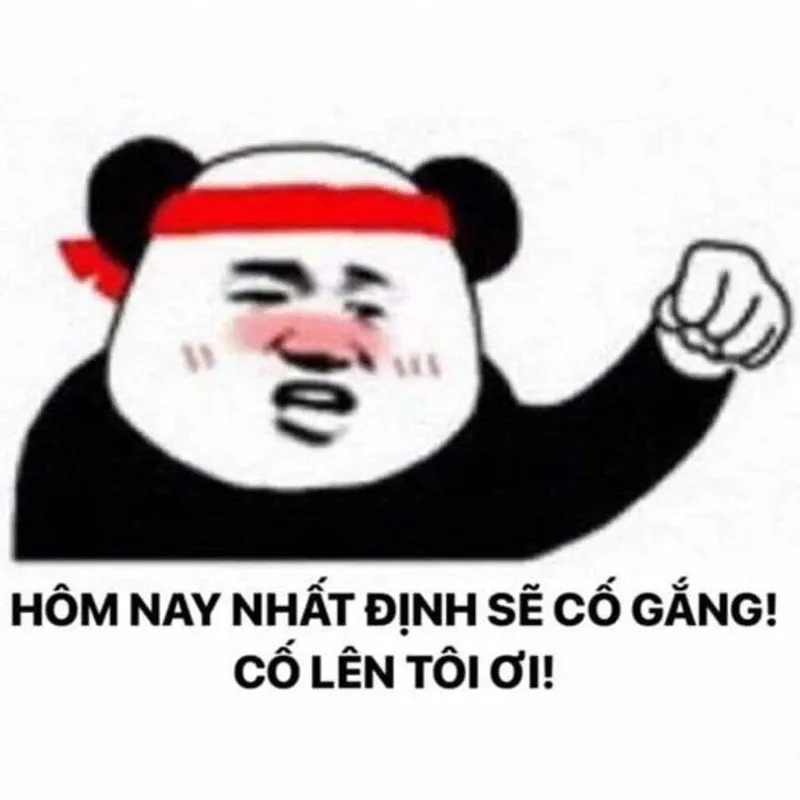 Chúng tôi đã cố gắng hết sức meme là thông điệp tích cực