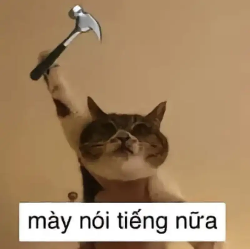 Cùng khám phá những tình huống đánh vai cực kỳ hài hước trong meme này