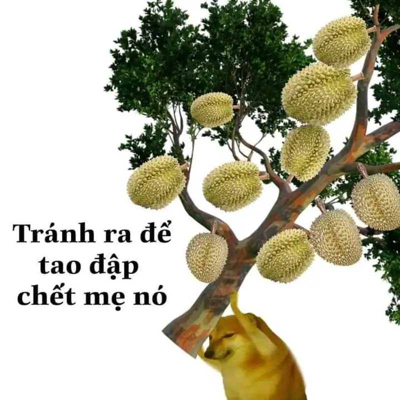 Meme đánh thức mang đến những tình huống hài hước liên quan đến việc 