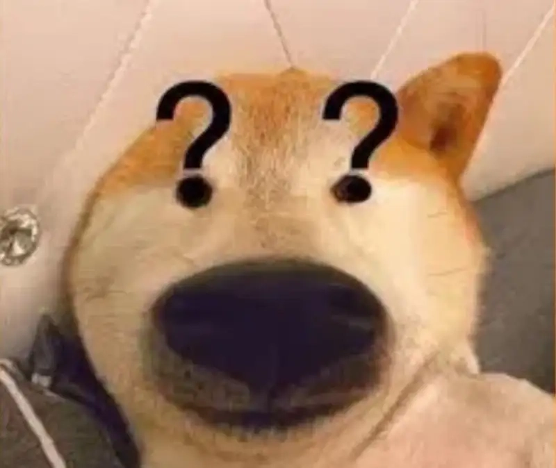 Sad dog meme thể hiện nỗi buồn của những chú chó đáng yêu