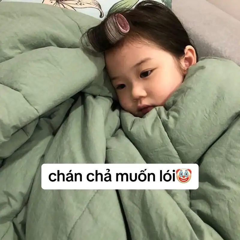 Ảnh meme em bé cute dễ thương để chia sẻ với bạn bè