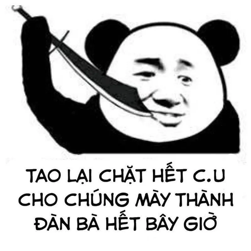 Ảnh gấu trúc meme mang lại sự dễ thương cho người xem