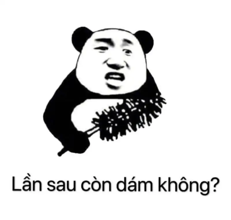 Khám phá những meme gấu Trung Quốc cực kỳ hài hước và dễ thương