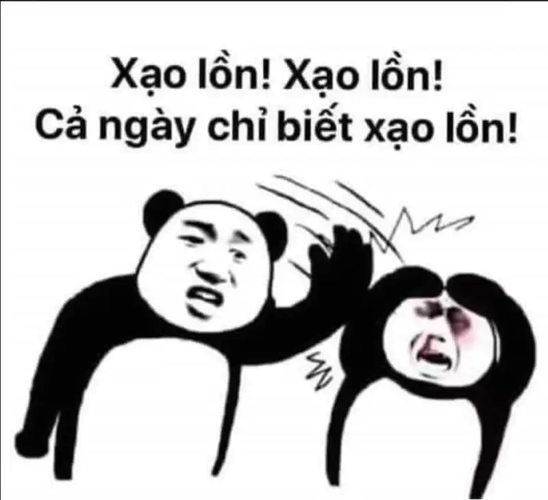 Meme con gấu trúc Trung Quốc mang đến niềm vui với những khoảnh khắc 