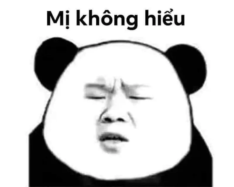 Hình meme gấu trúc là lựa chọn hoàn hảo cho những ai yêu thích meme