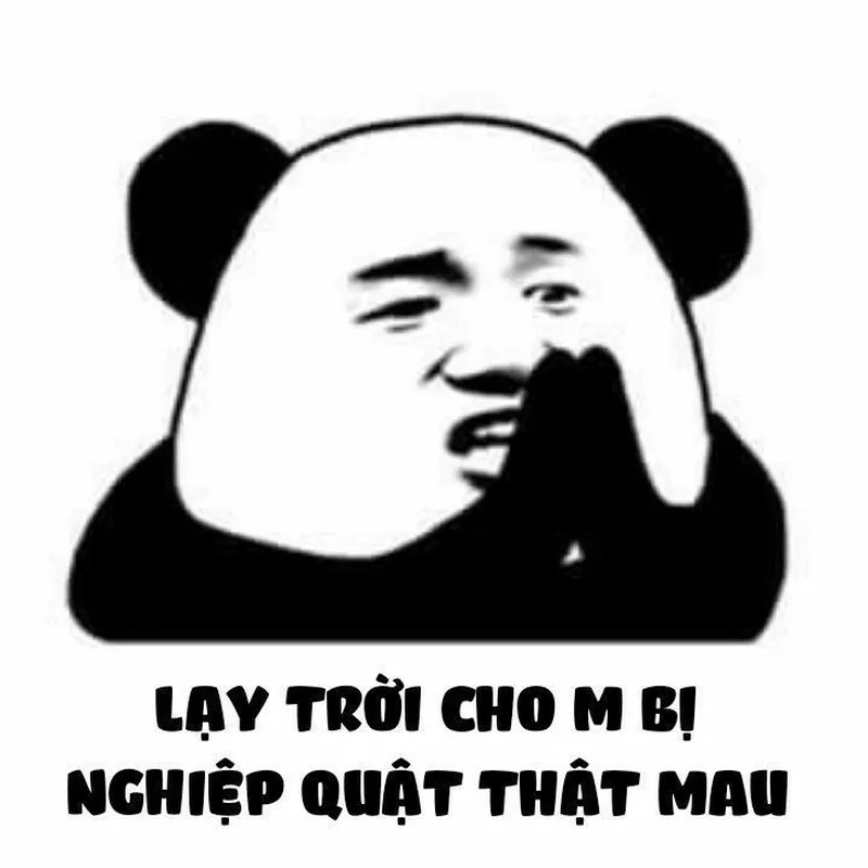 Meme gấu trúc là hình ảnh vui vẻ cho những ai yêu thích sự hài hước