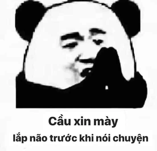 Meme hài gấu trúc khiến bạn cảm thấy vui vẻ hơn