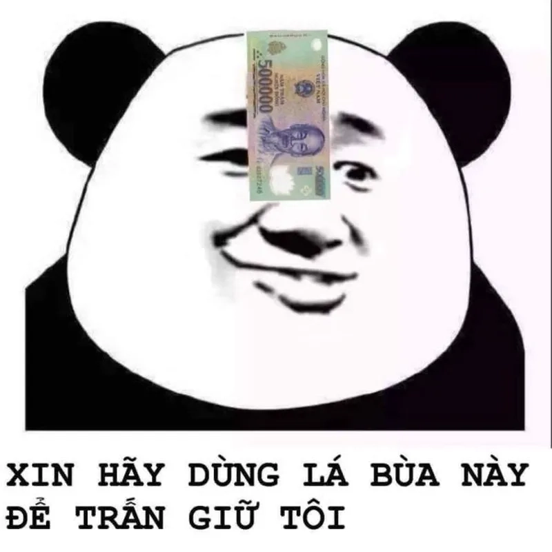 Ảnh meme gấu hồng mang lại tiếng cười cho mọi người