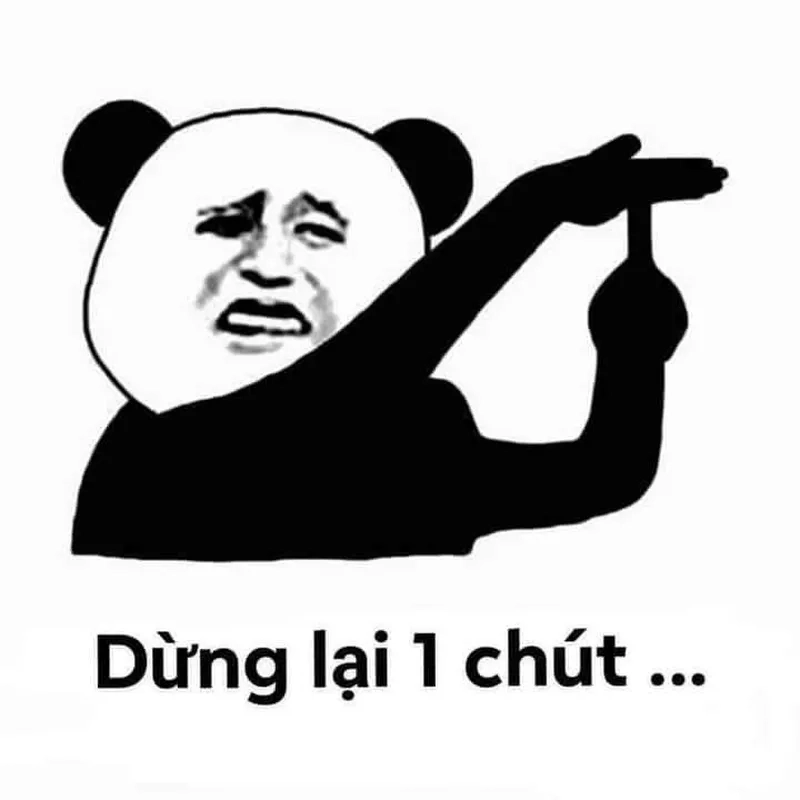 Meme con gấu màu hồng khiến bạn cảm thấy dễ thương hơn