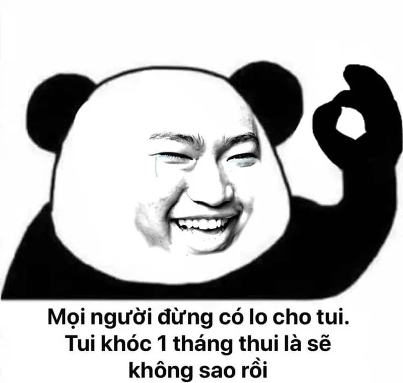 Con gấu màu hồng meme là hình ảnh vui vẻ cho những ai yêu thích sự hài hước