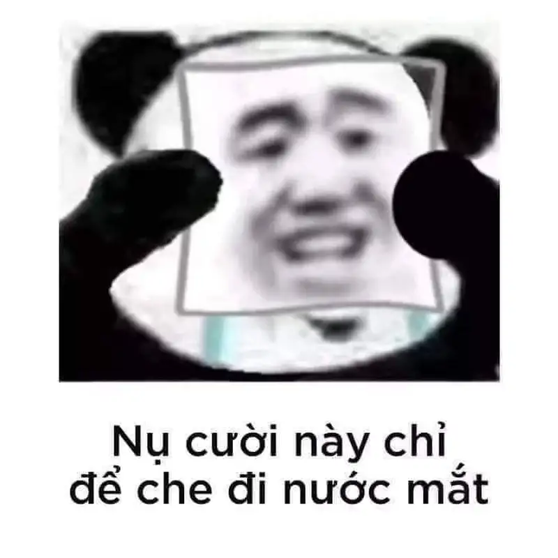 Meme gấu trúc thôi thôi là cách thể hiện sự kết thúc hài hước và đầy ấn tượng trong những cuộc trò chuyện.