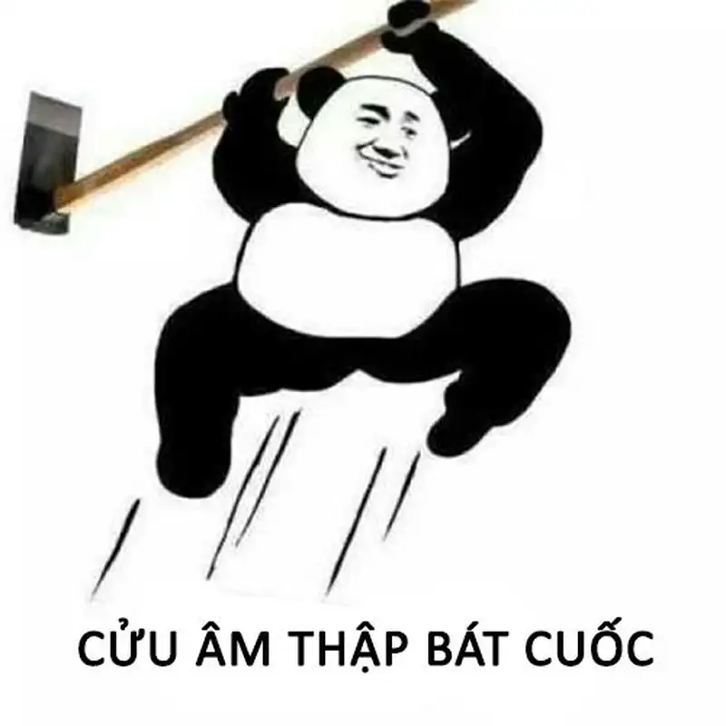 Meme gấu trúc ngạc nhiên khiến người xem phải ngỡ ngàng với những biểu cảm cực kỳ đáng yêu và bất ngờ.