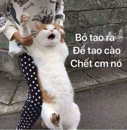 Meme giận rồi mang lại tiếng cười cho mọi người