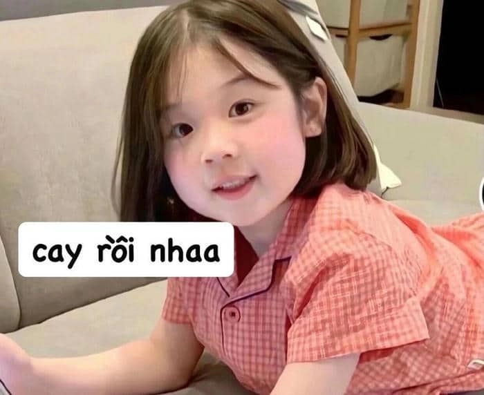 Mèo giận dỗi meme thật đáng yêu và hài hước