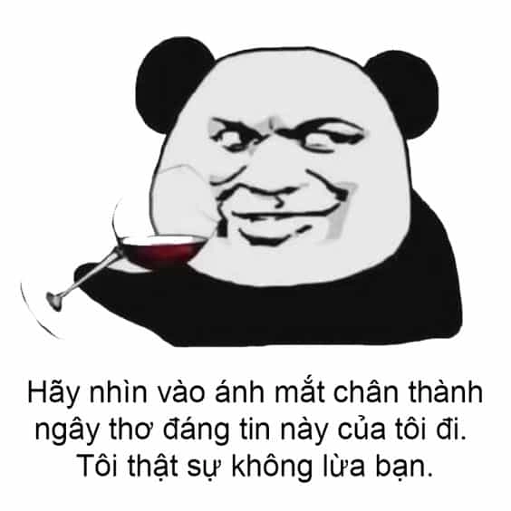 Nhộn hài meme chuột hamster giúp bạn thư giãn và cười thỏa thích