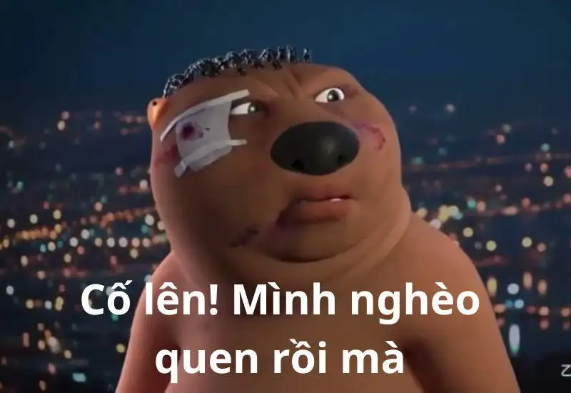 Ảnh meme cute không chữ Trung Quốc là sự kết hợp hoàn hảo của hình ảnh dễ thương