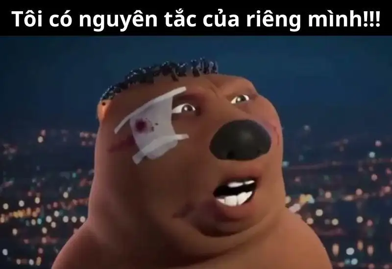 Hải ly hồng meme Trung Quốc mang đến những khoảnh khắc cực kỳ đáng yêu và hài hước