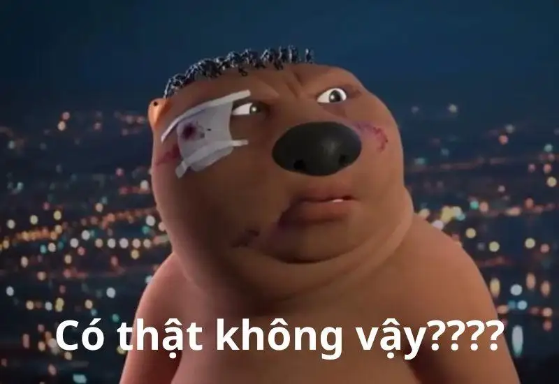 Meme hải ly loopy Trung Quốc sẽ làm bạn cười ngất với những khoảnh khắc cực kỳ 