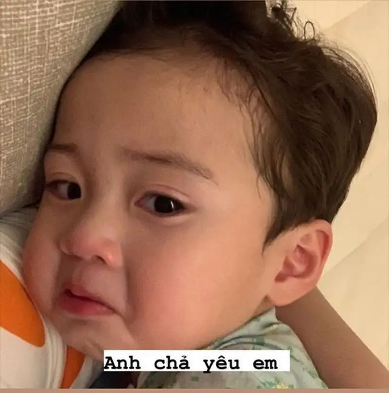 Meme thả tim hài hước mang lại những khoảnh khắc vui nhộn, vừa dễ thương vừa buồn cười!