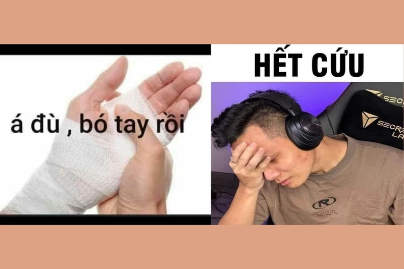 Hết cứu nổi meme thể hiện sự hài hước độc đáo