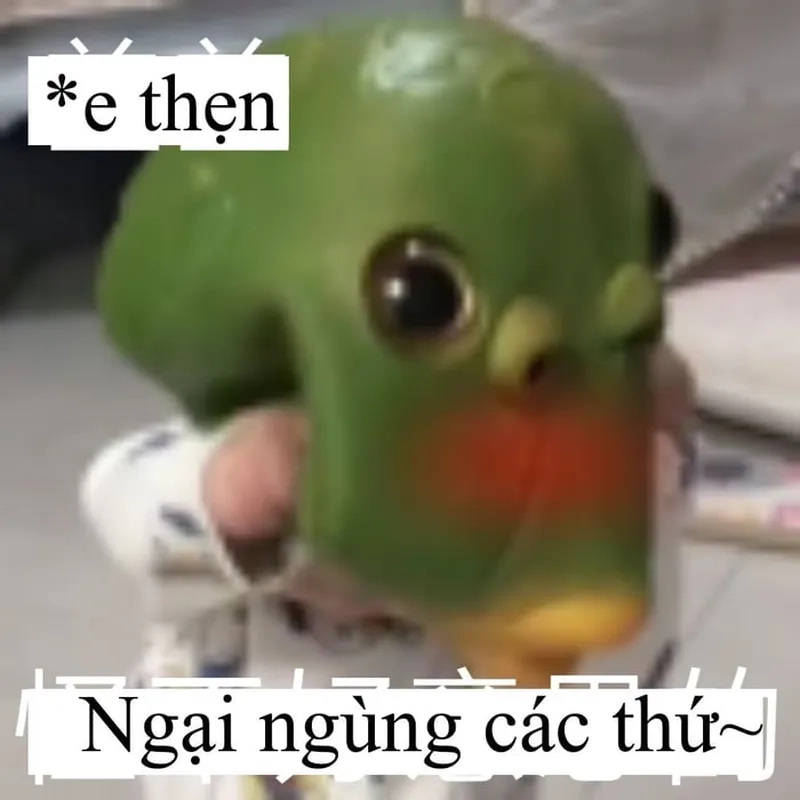 Meme anh da đen gãi đầu ngại khiến bạn cảm thấy đồng cảm