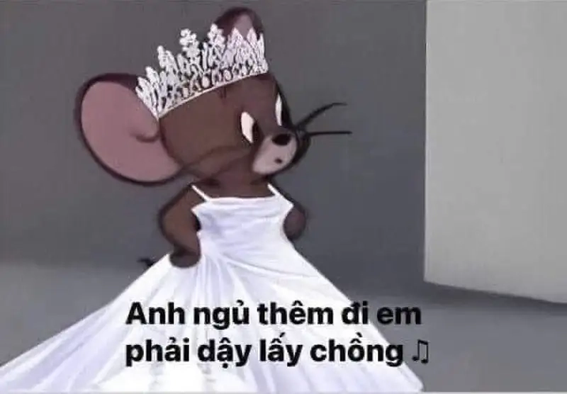 Tom and jerry meme love mang lại tiếng cười cho mọi người