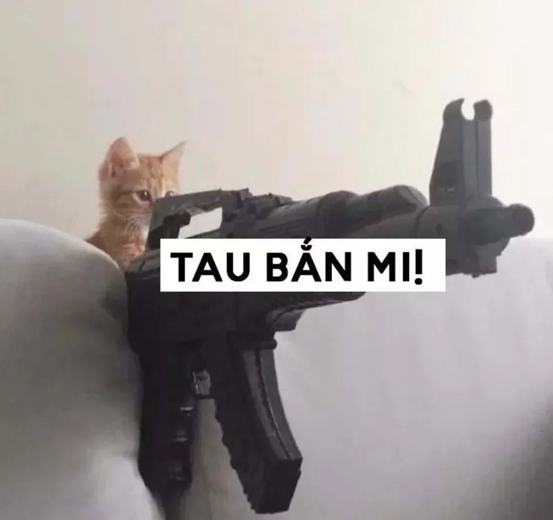 Cute meme bắn tim làm tan chảy trái tim bạn