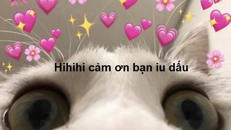 Cảm ơn cô và các bạn đã lắng nghe meme thể hiện sự tôn trọng trong giao tiếp