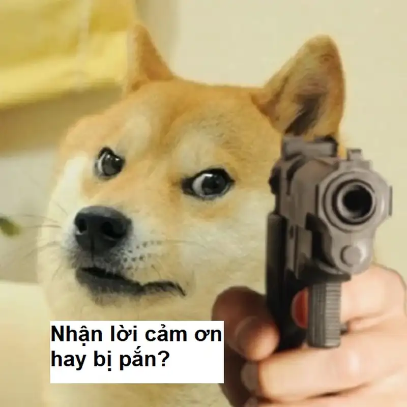 Cảm ơn mọi người đã lắng nghe meme thể hiện sự chân thành và tôn trọng