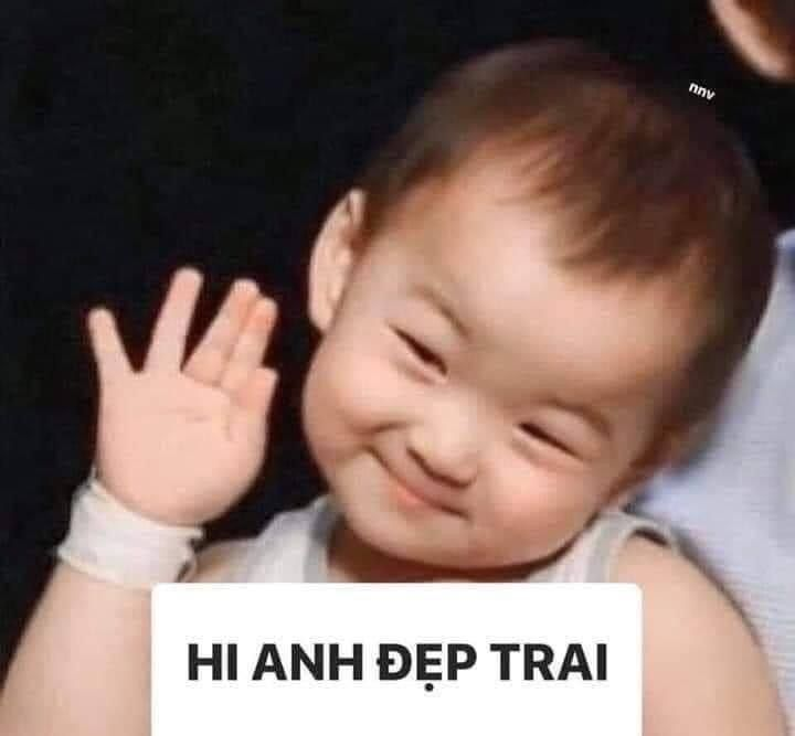 Ảnh meme mèo xin chào khiến bạn cảm thấy vui vẻ