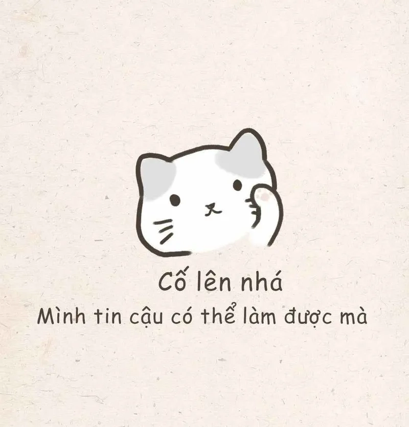 Biểu hiện của sự cố chấp meme khiến người xem cảm thấy đồng cảm