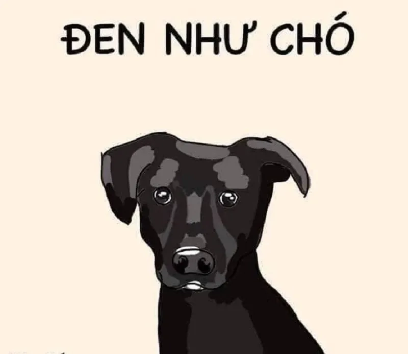 Meme con mèo cute là lựa chọn hoàn hảo cho những ai yêu thích mèo