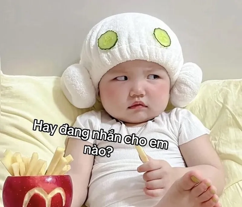 Mèo cute đáng yêu meme mang đến những khoảnh khắc vui vẻ