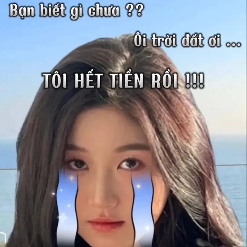 Meme mèo tiền khiến bạn không thể nhịn cười với những tình huống dở khóc dở cười