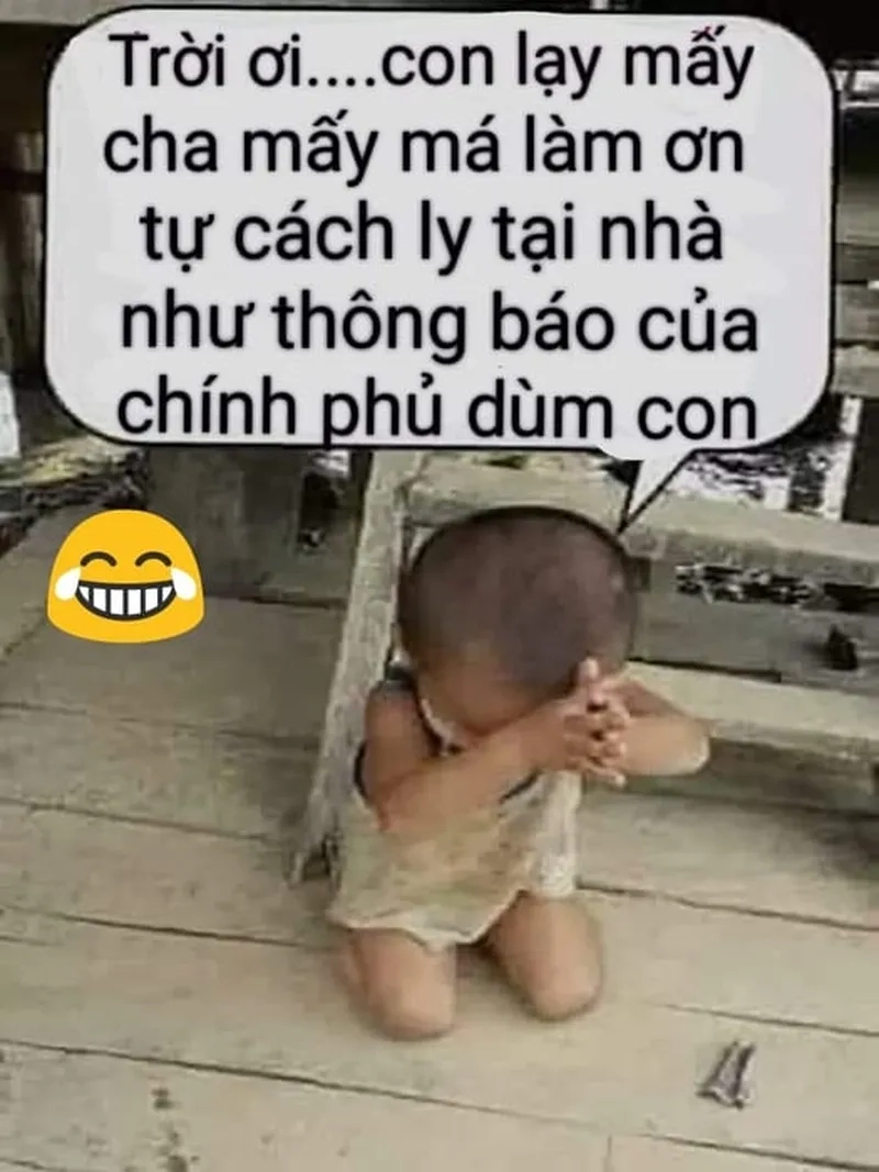 Meme quỳ xuống giúp bạn thể hiện sự hối lỗi một cách hà i hước